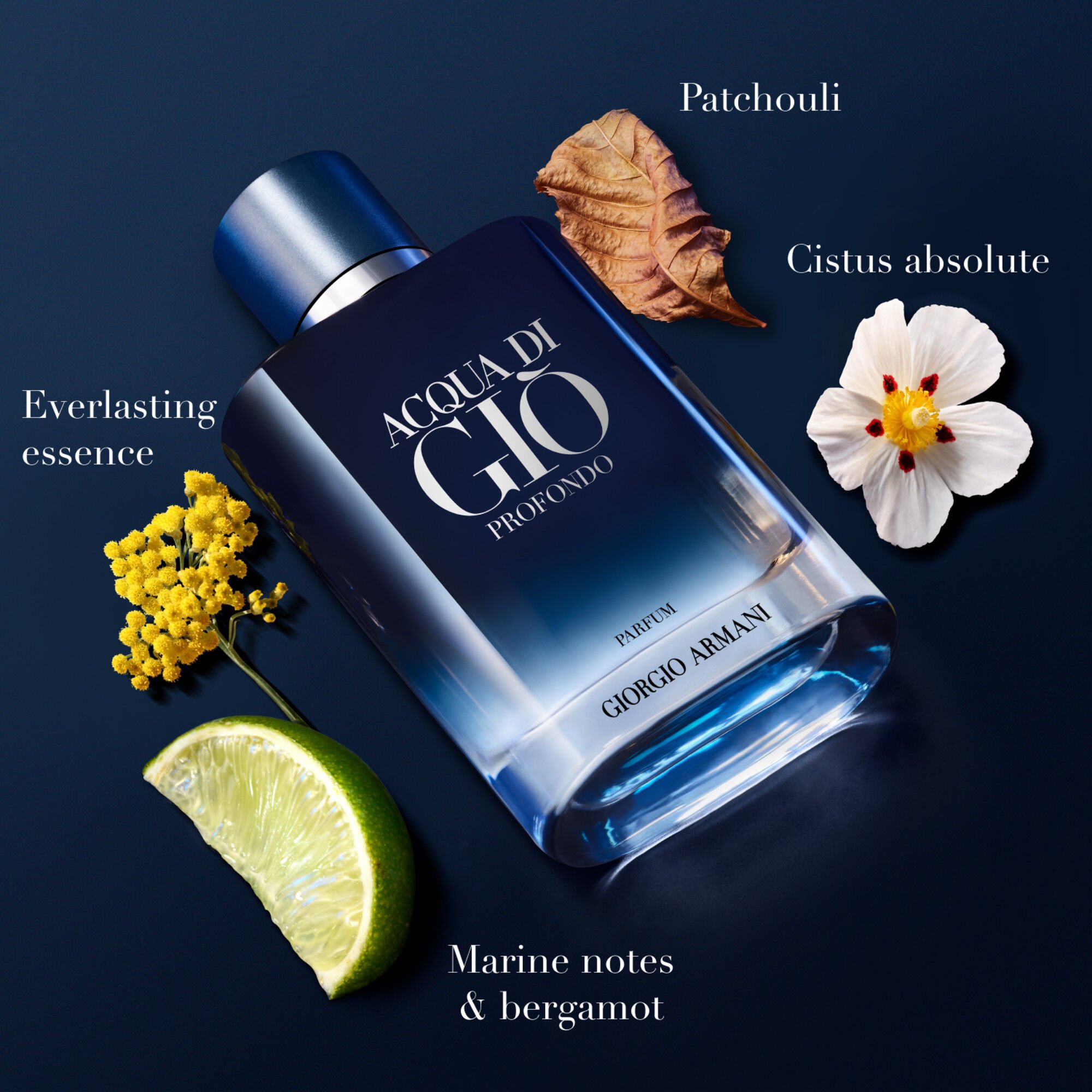Acqua di Giò Profondo — Fresh Cologne For Men — Armani Beauty